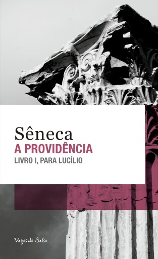 A providência - Ed. Bolso