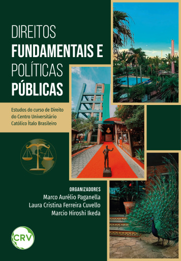 Direitos fundamentais e políticas públicas