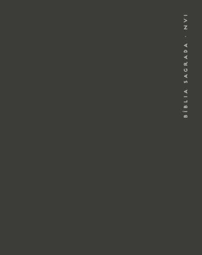 Bíblia NVI com Espaço para Anotações central, Capa dura cinza com elástico, Espiral, Leitura Perfeita