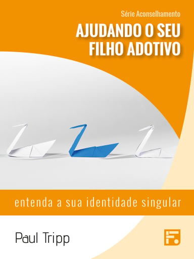 Ajudando o seu filho adotivo