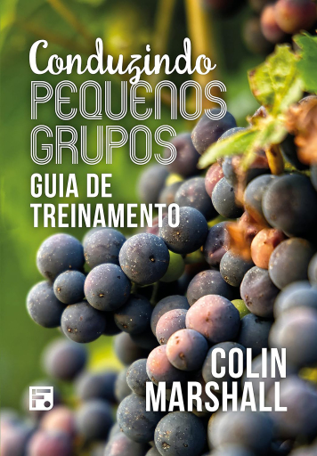 Conduzindo pequenos grupos