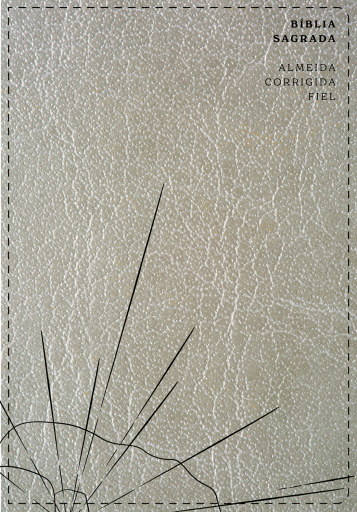 Bíblia Sagrada ACF Slim, Capa luxo cinza, Leitura Perfeita
