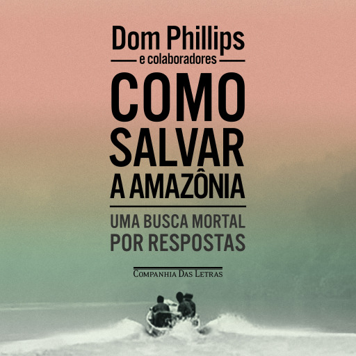 Como salvar a Amazônia