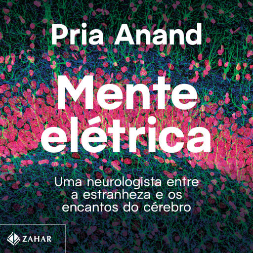 Mente Elétrica