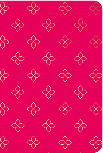 Bíblia Pocket NVI, Capa luxo carteira rosa com corrente, Leitura Perfeita