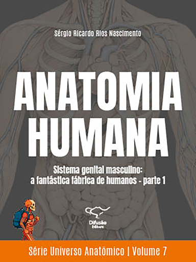 Anatomia humana - Sistema genital masculino: a fantástica fábrica de humanos