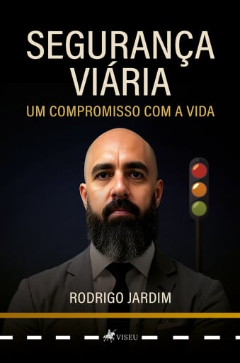 Segurança Viária