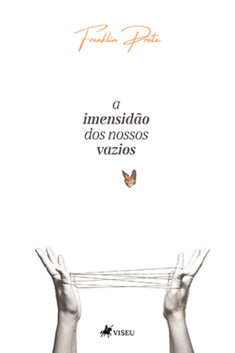 A Imensidão dos Nossos Vazios