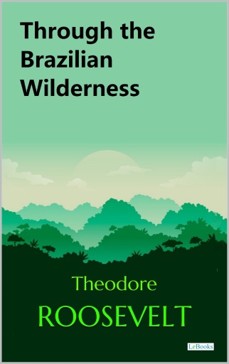 Through the Brazilian Wilderness