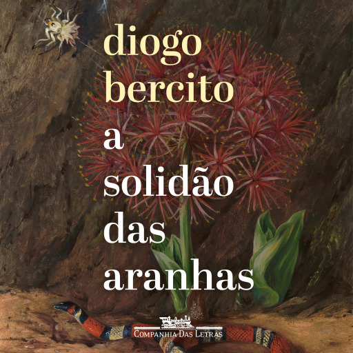 A solidão das aranhas