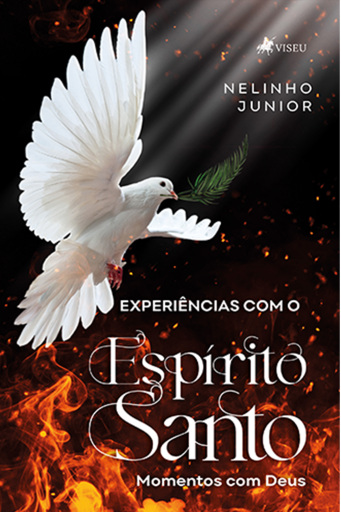 Experiências com o Espírito Santo