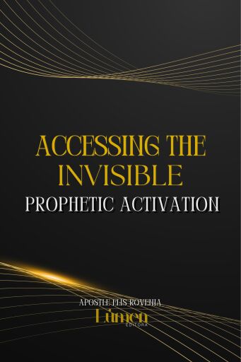 Portada del libro «Accessing The Invisible», de Elis Rovenia