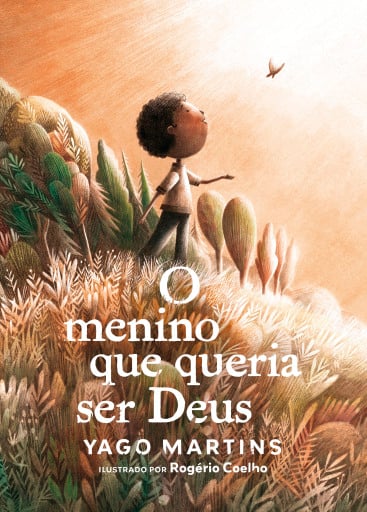 O menino que queria ser Deus — Ficção infantojuvenil ilustrada