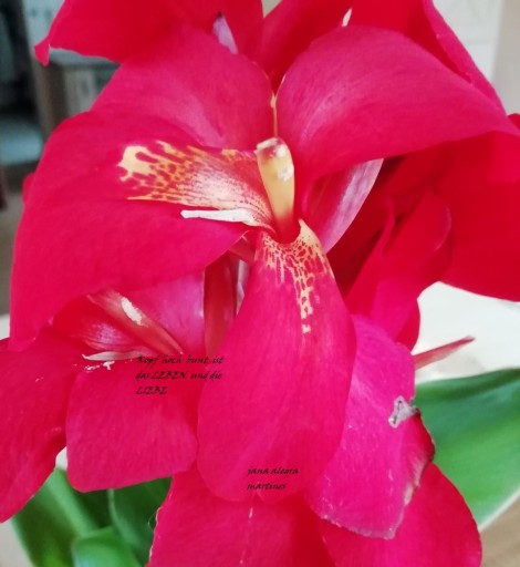 Nichts ist für immer