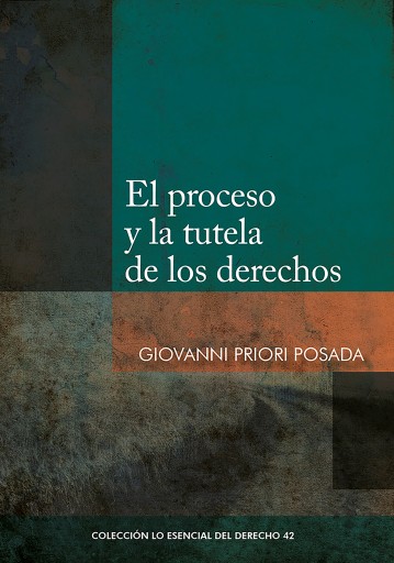 El proceso y la tutela de los derechos