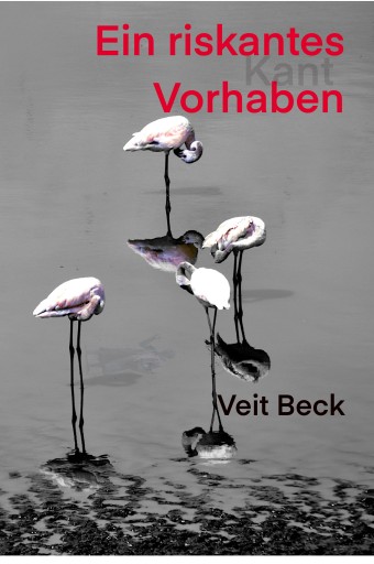 Portada del libro «Ein riskantes Vorhaben», de Veit Beck