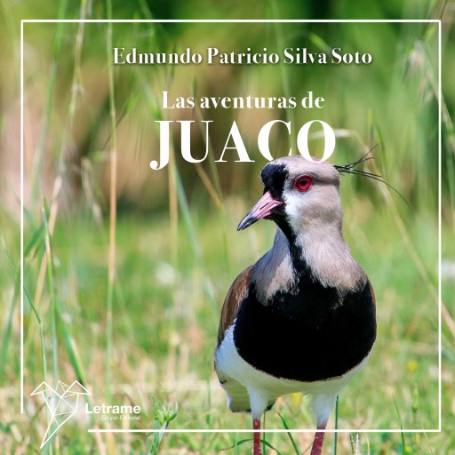 Portada del audiolibro «Las aventuras de Juaco», de Edmundo Patricio Silva Soto