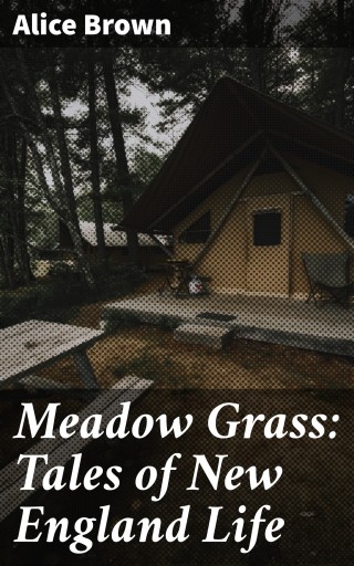 Meadow Grass: Tales of New England Life