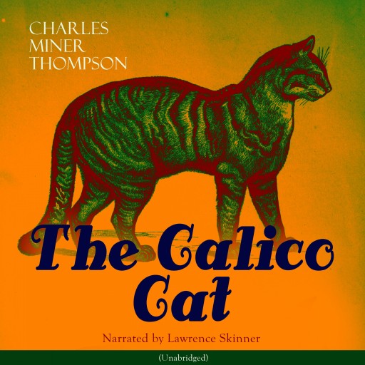 The Calico Cat