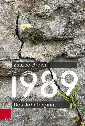 1989 imagen de portada