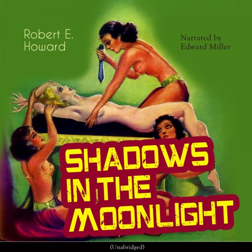 Shadows in the Moonlight