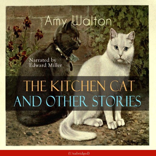 The Kitchen Cat and Other Stories