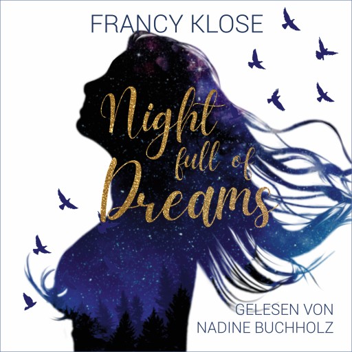 Portada del audiolibro «Night full of Dreams», de Francy Klose
