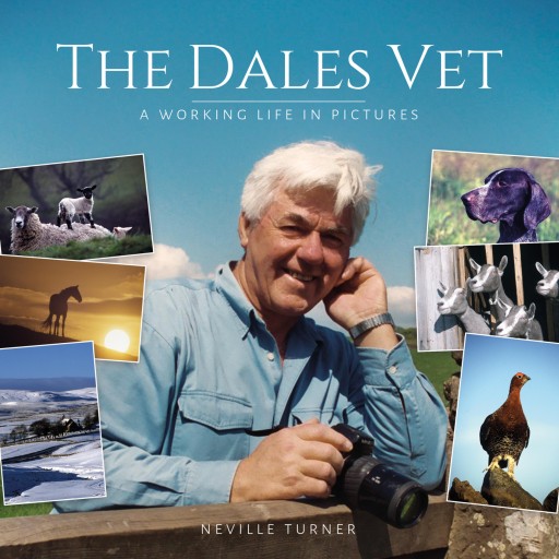 The Dales Vet imagen de portada