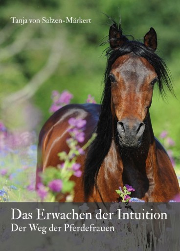 Portada del libro «Das Erwachen der Intuition», de Tanja von Salzen-Märkert