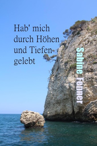 Portada del libro «Hab' mich durch Höhen und Tiefen gelebt»