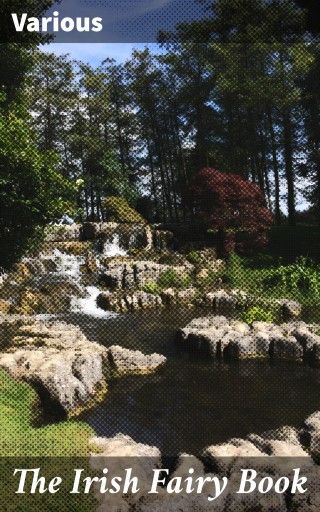The Irish Fairy Book