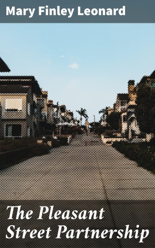 The Pleasant Street Partnership