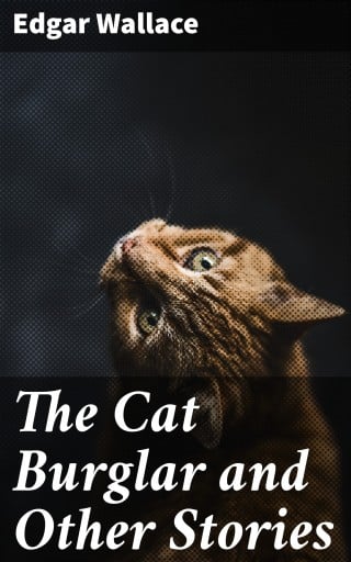 Portada del libro «The Cat Burglar and Other Stories», de Edgar Wallace