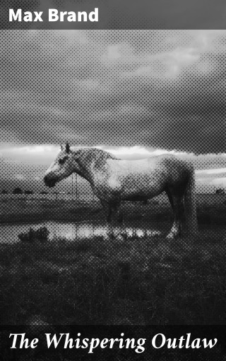 The Whispering Outlaw