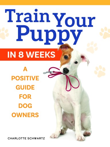 Train Your Puppy in 8 Weeks