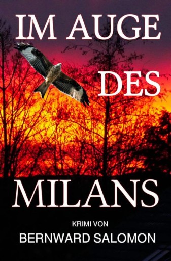 Portada del libro «Im Auge des Milans», de Bernward Salomon