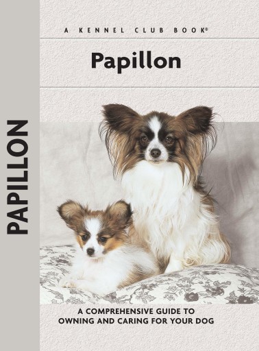 Papillons