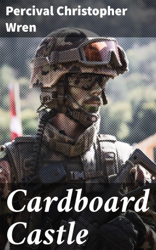 Portada del libro «Cardboard Castle»