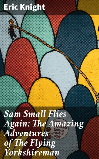 Sam Small Flies Again: The Amazing Adventures of The Flying Yorkshireman