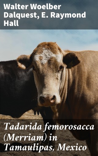 Tadarida femorosacca (Merriam) in Tamaulipas, Mexico