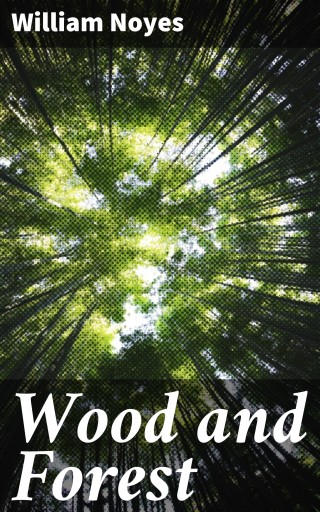 Wood and Forest