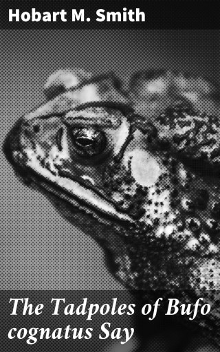 The Tadpoles of Bufo cognatus Say