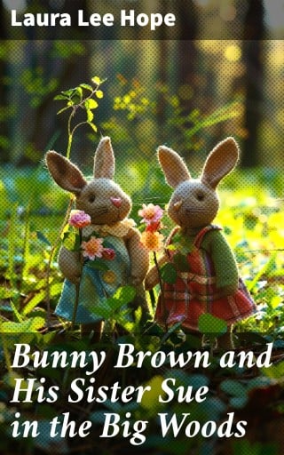 Bunny Brown and His Sister Sue in the Big Woods