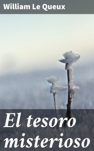 El tesoro misterioso