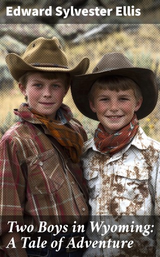 Two Boys in Wyoming: A Tale of Adventure
