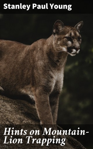 Hints on Mountain-Lion Trapping