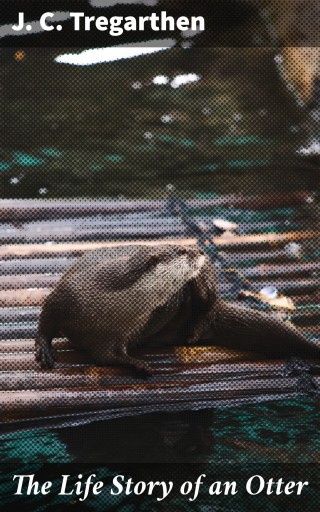 The Life Story of an Otter