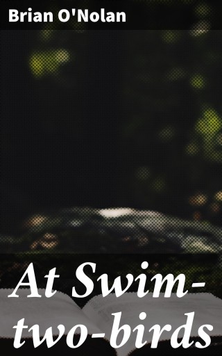 At Swim-two-birds