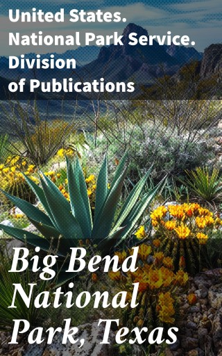 Big Bend National Park, Texas