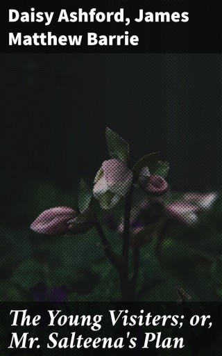 The Young Visiters; or, Mr. Salteena's Plan